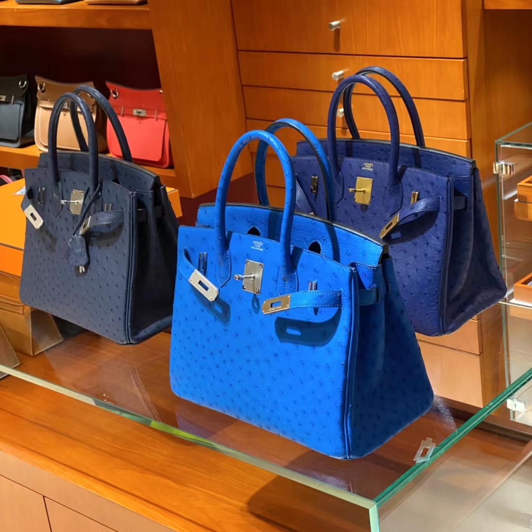 爱马仕 HERMES Birkin铂金包25 银扣 鸵鸟皮