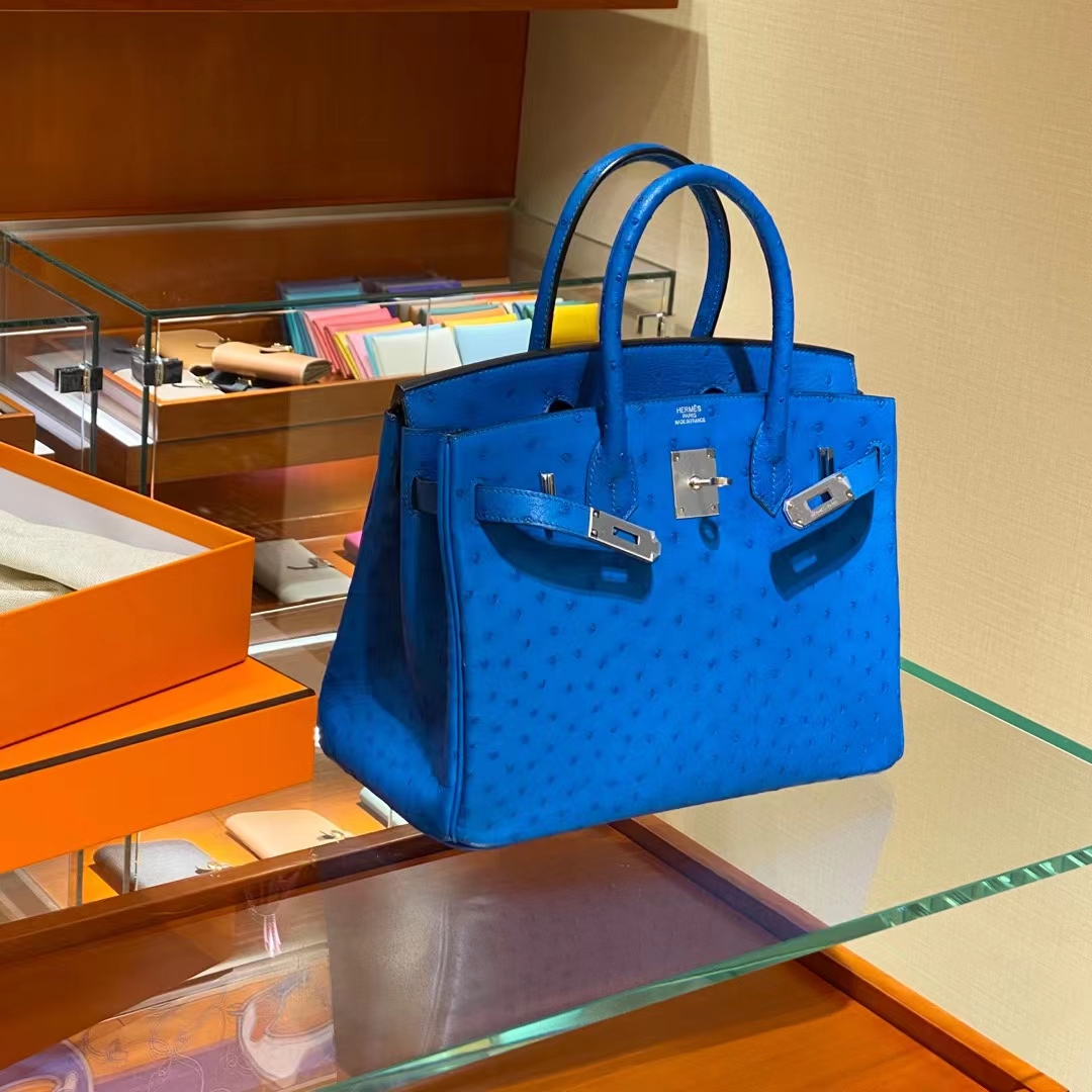 爱马仕 HERMES Birkin铂金包25 银扣 鸵鸟皮 电光蓝