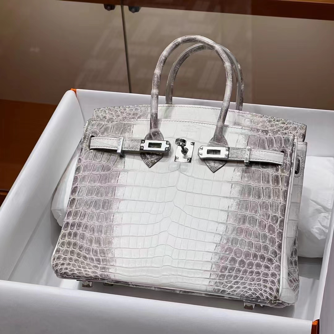 HERMES 爱马仕 【现货】 Birkin 25cm 1 Himalaya 喜马拉雅 哑光鳄鱼 进口蜜蜡线 全手工制作