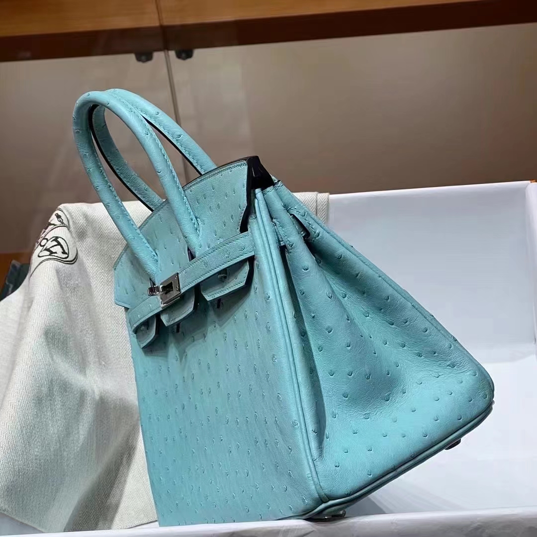 HERMES 爱马仕 Birkin 25CM Ostrich 鸵鸟皮 3P 马卡龙 进口蜜蜡线 全手工制作 铂金女王