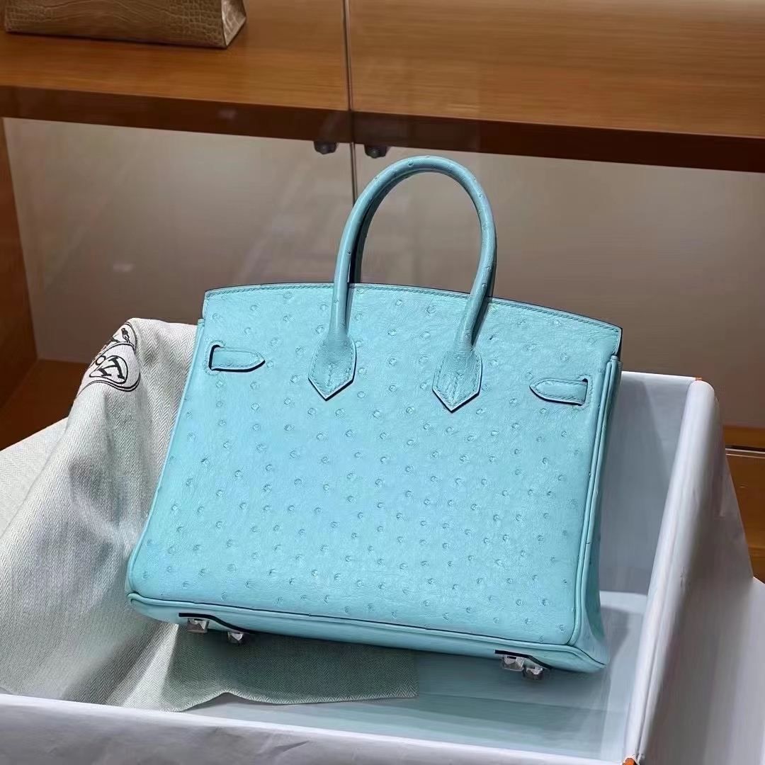 HERMES 爱马仕 Birkin 25CM Ostrich 鸵鸟皮 3P 马卡龙 进口蜜蜡线 全手工制作 铂金女王