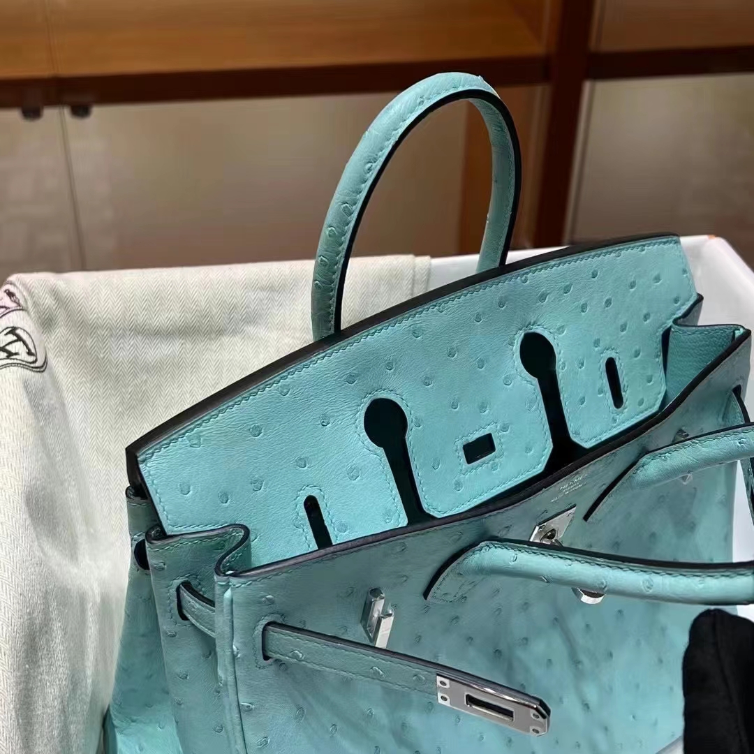 HERMES 爱马仕 Birkin 25CM Ostrich 鸵鸟皮 3P 马卡龙 进口蜜蜡线 全手工制作 铂金女王