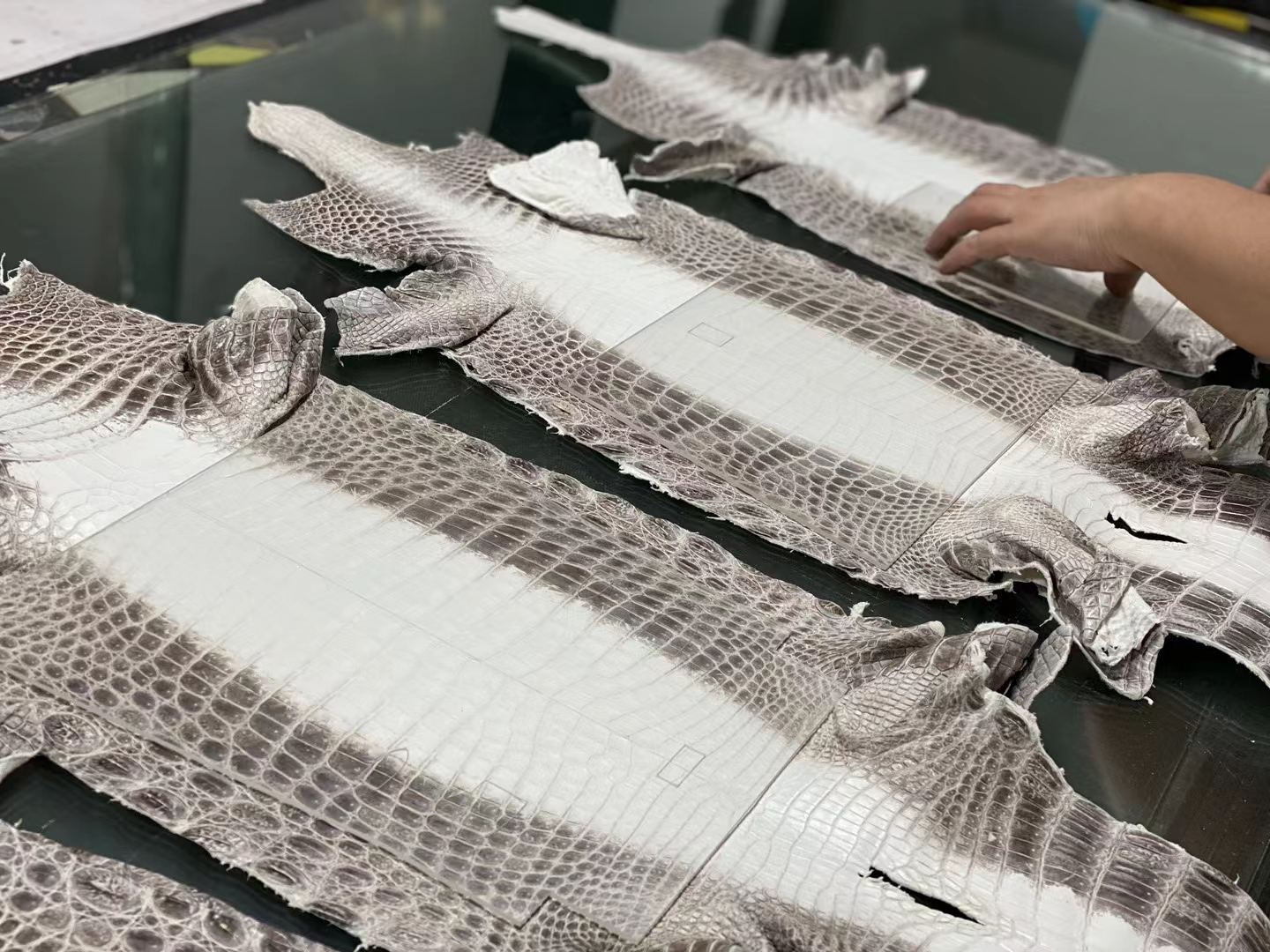 Hermes 特殊渠道货 第一手喜马拉雅皮 鳄鱼皮 顶级货品
