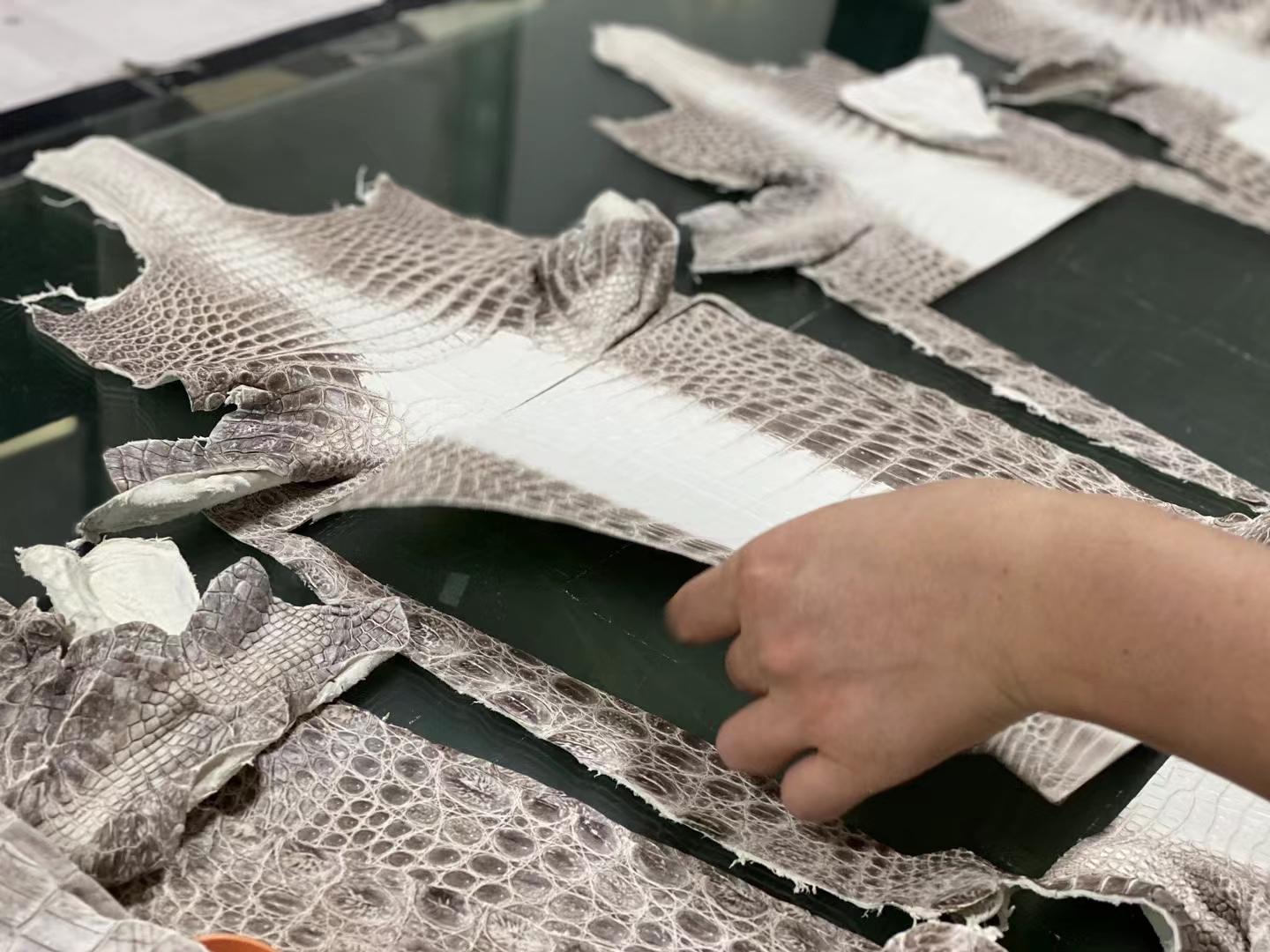 Hermes 特殊渠道货 第一手喜马拉雅皮 鳄鱼皮 顶级货品